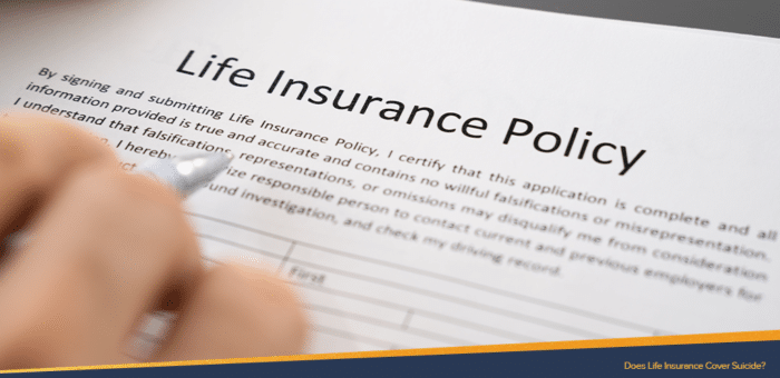 Life insurance policy for suicide being read by someone holding a pen