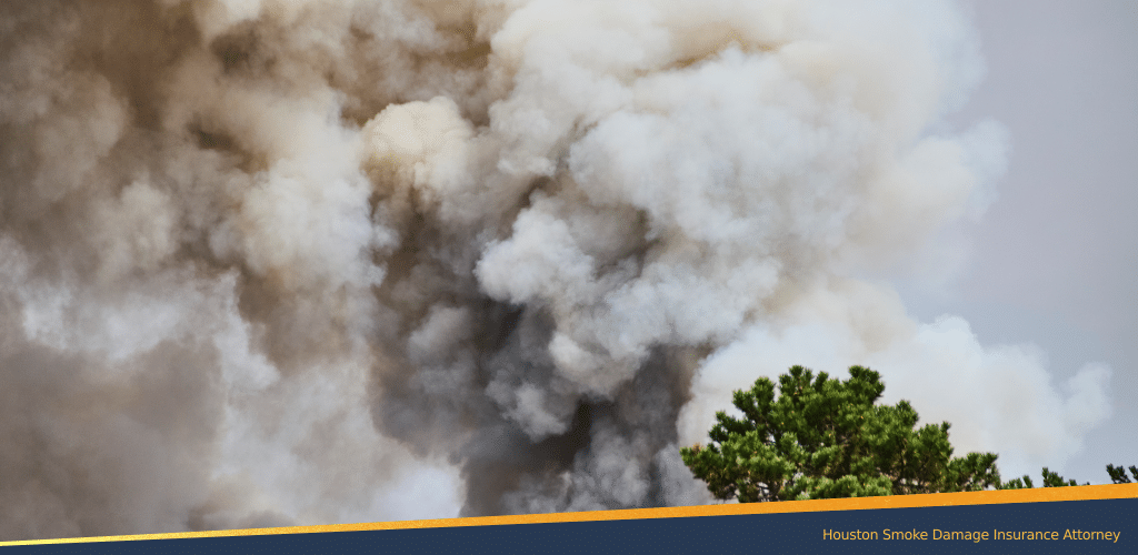 Smoke cloud damage reaching over the height of a tree
