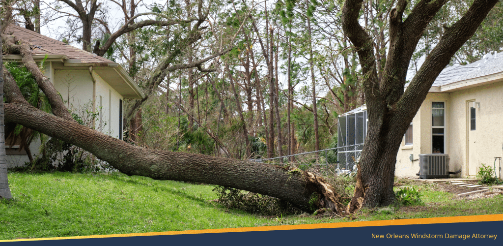 A fallen tree caused by windstorm on a New Orleans home.